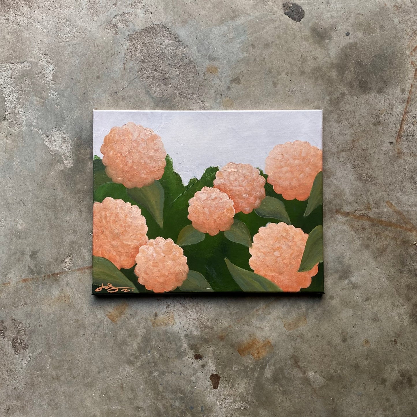 Subtle Orange Hydrangeas