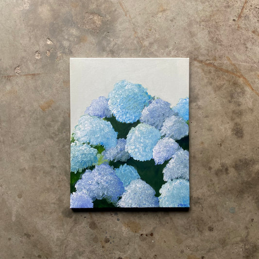 East Coast Hydrangeas