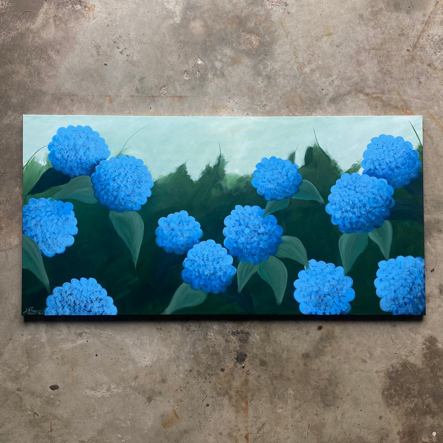 Blue Hydrangea Bush